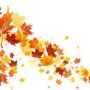 fall-leaves