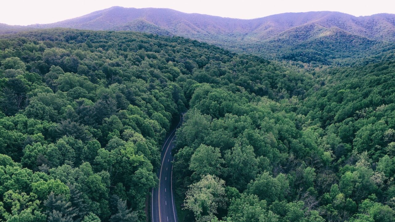 What’s going on in VA Higher Ed? Your Brief Explainer